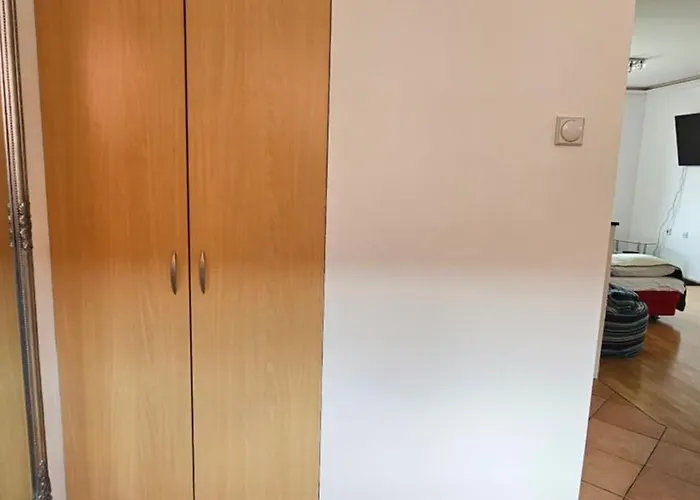 Center Luxury Apartment Subotica